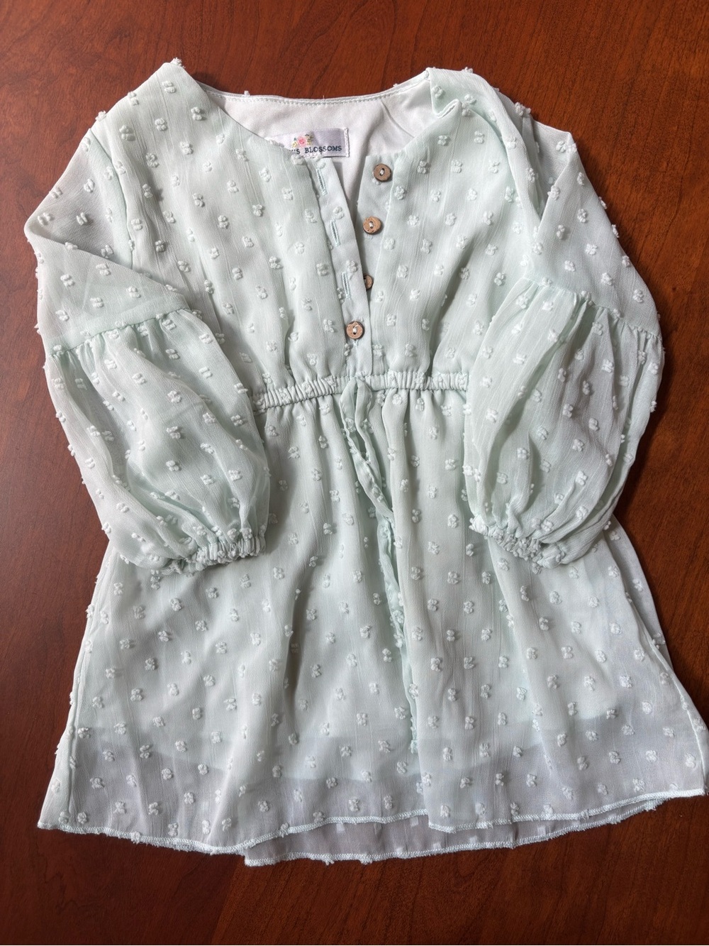 Children's Mint Swiss Dot Dress-